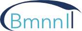 BmnnIT.com - Consulting - Wir beraten Sie gerne logo